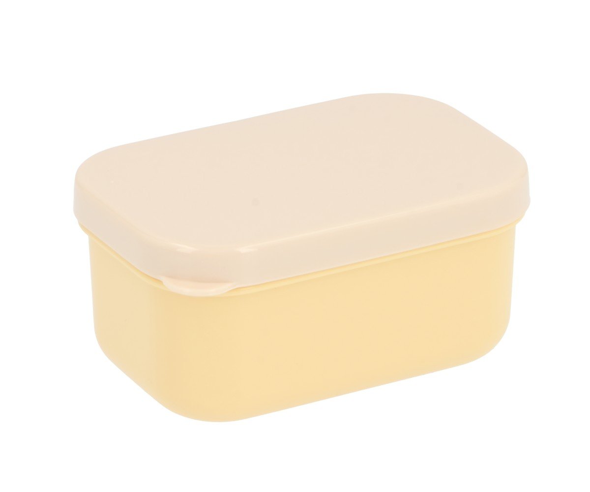 Copy of Caja Bento VAC 2025_91