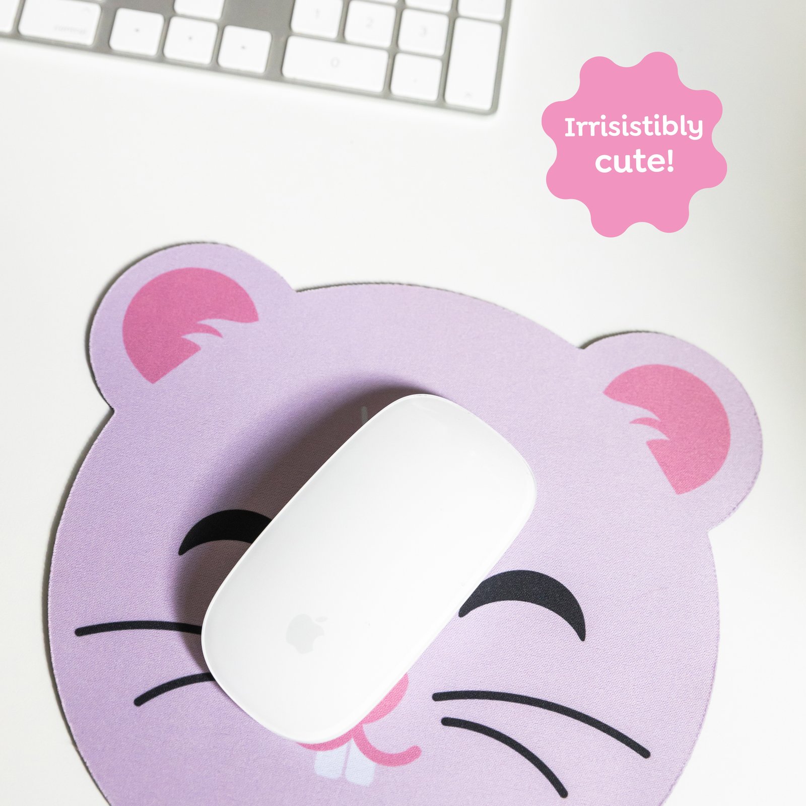 a0e25e6b4777067eb0cabef0aa2f779b98b14bc1_MR13316_02