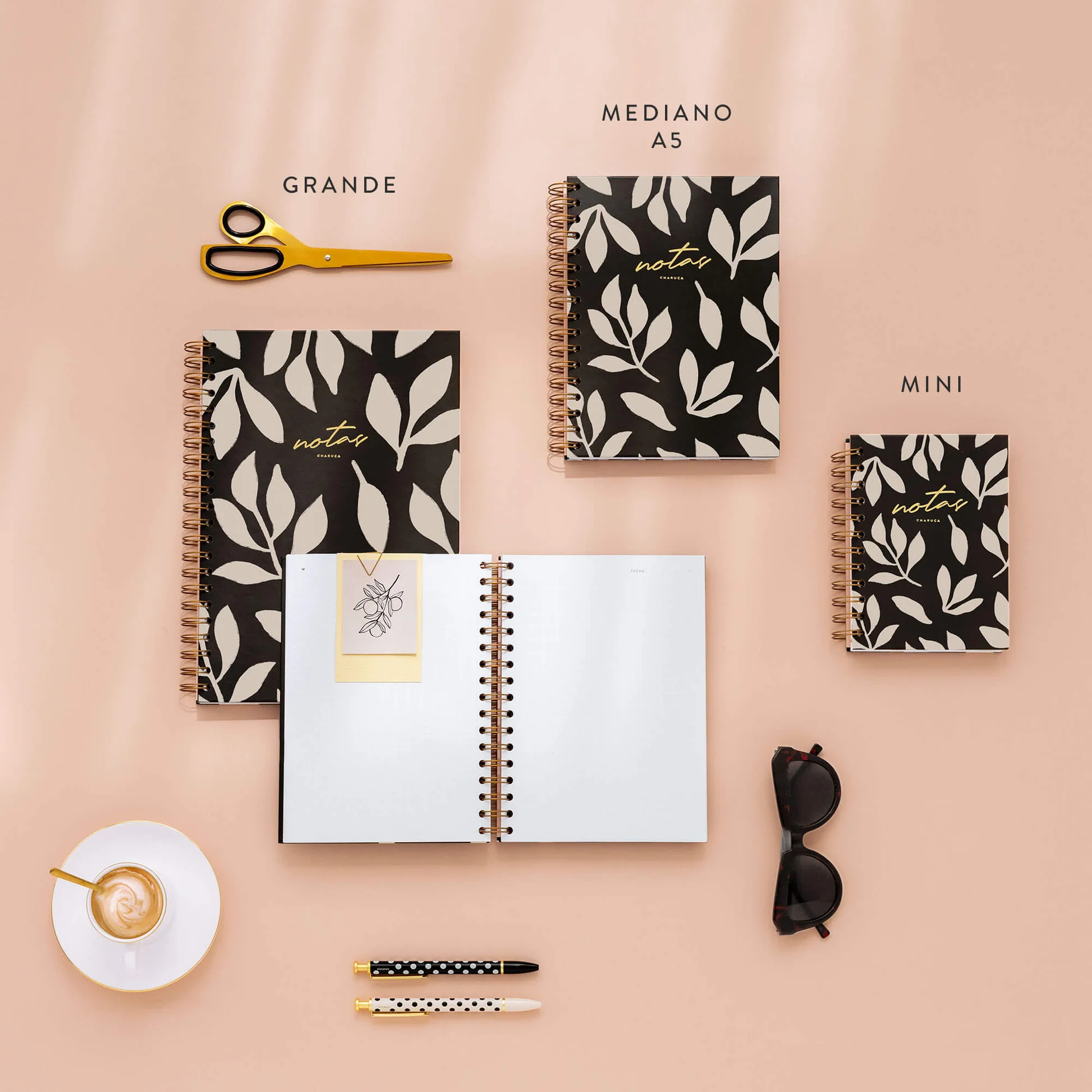 04_BODEGON_ANICALS_00996339-9631-4a42-8228-9ade3d07fdd4